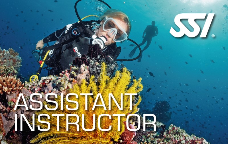 assistantinstructor