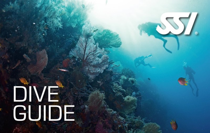 diveguide