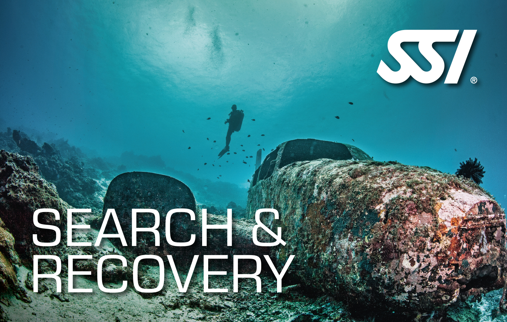 search-and-recovery